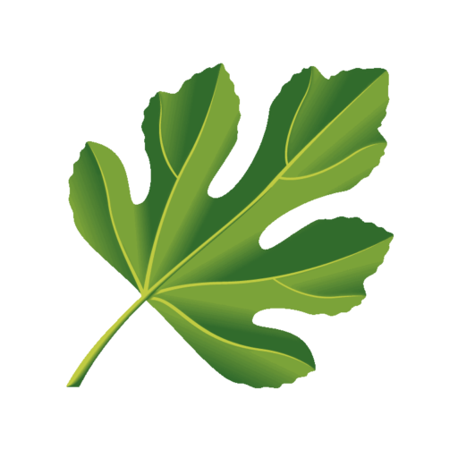 Église Évangélique du Figuier